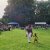 Das Fest, Mitwirkende und Besucher