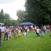 skf_06_modenschau_42