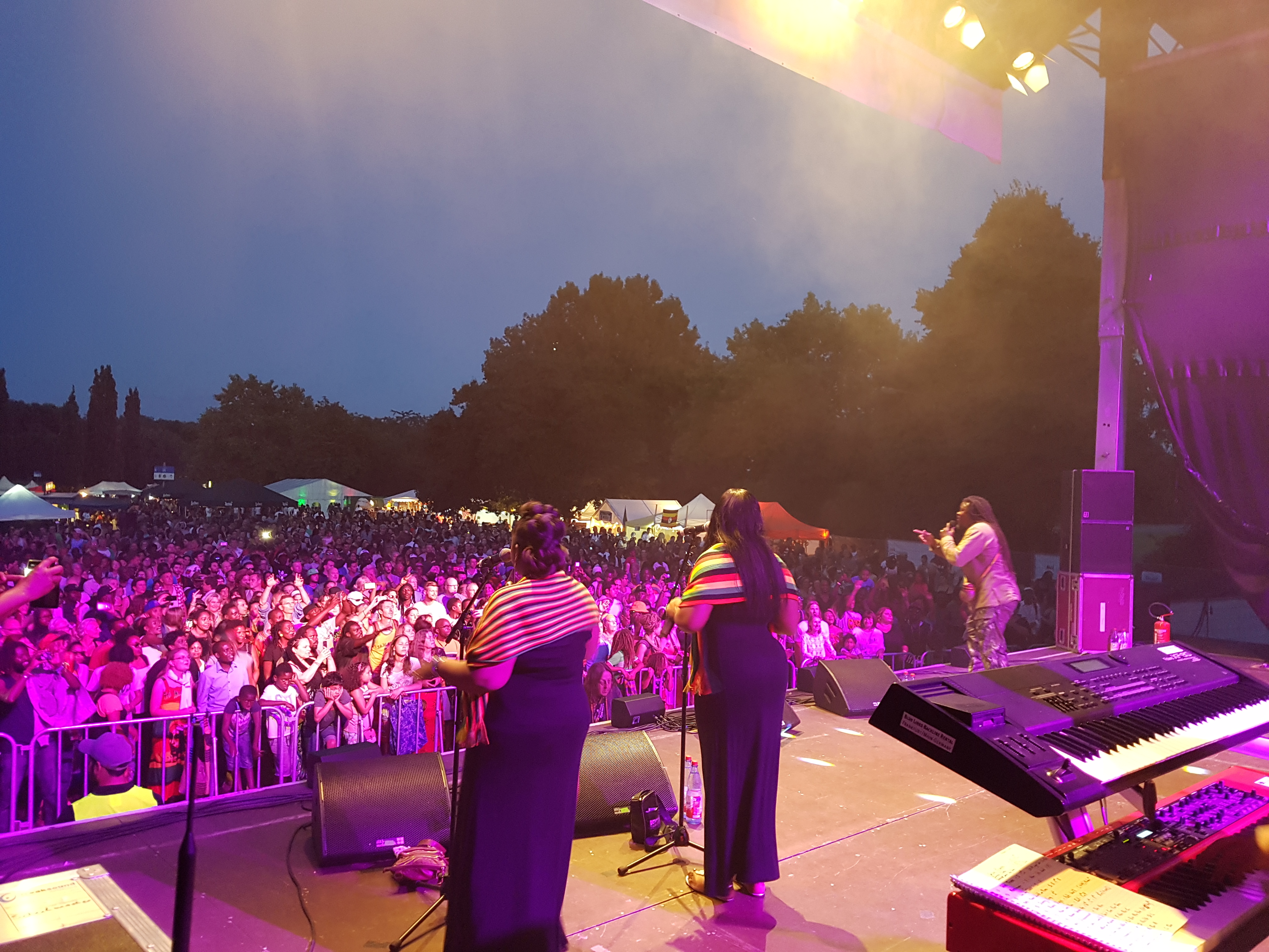 Bild vom Afrikanischen Kulturfest